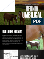 Expo Hernia Umbilical