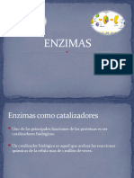 Enzimas