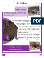 Echidna Fact Sheet English