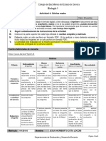 P3 - Bio1 - Actividad 4 - Células Madre