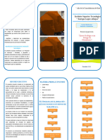 Triptico Del Proyecto Inti