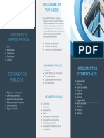 Brochure Sobre Los Tipos de Documentos