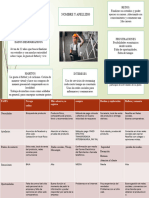 Bayer Persoal y Customer Maps