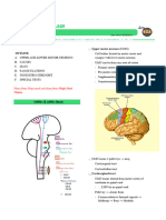 07e - UMN & LMN Lesions - Ninja Nerd & DR Najeeb