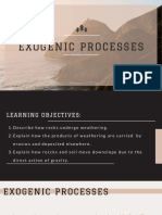 Exogenic Processes