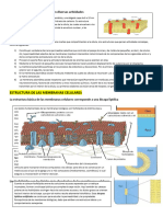 Biología Sección 4