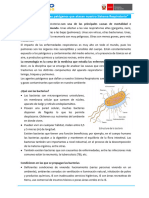 2 - Lectura - CICLO VI - CT