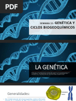 Diapositivas Semana 11