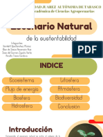 Escenario Sustentabilidad