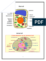 Session 4 (Organelles)