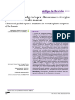 Anestesia Regional Guiada Por Ultrassom em Cirurgias Plásticas Estéticas Das Mamas