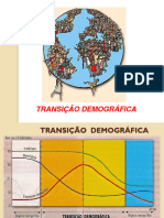 Aula 2 - DEMOGRAFIA - Transição Demografica 3