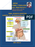 Aparato Digestivo