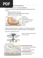 Sistema de Endomembranas CBC