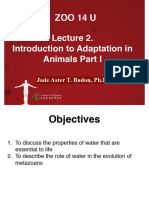 Lecture 2 Introduction To Adaptations (Supplementary Material)