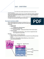 Epithelial Tissue - Overview PDF