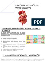 UD2. Funcion de Nutricion I. Aparato Digestivo