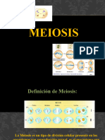 14 Meiosis