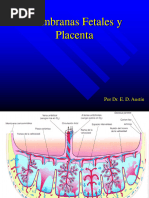 TEMA 11 - Membranas Fetales y Placenta2