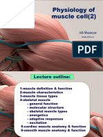 Physiology06 Muscle Cell