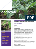 Fact Sheet Cocoyam