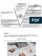 Lab 5-Electromagnetismo-V de Gowin