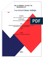 Informe N°06