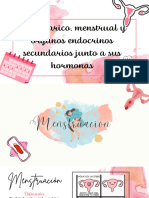 Ciclo Ovarico, Menstrual y Organos Endocrinos Secundarios Junto A Sus Hormonas - 20231104 - 230235 - 0000