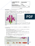 Teste de C-N. 6º Ano - Plantas...