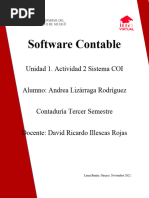 2 Softwarecontable