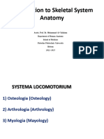 Introduction To Osteology 2