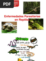 Enfermedades Paras It Arias en Reptiles