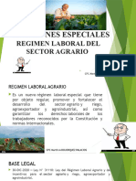 Sesion 12 Regimen Laboral Agrario