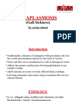 ANAPLASMOSIS