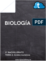 Tema 6 Acidos Nucleicos