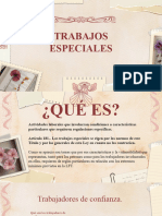 Procedimientos Especiales