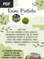 Presentación Reino Protista