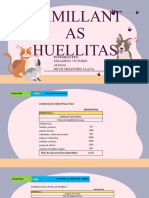 Camillantas Huellitas Situacion Financiera