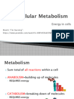 Cellular Metabolism