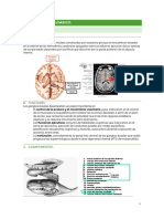 Tema 6. Psicobio II.