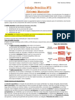 Trabajo Práctico Nº3. Sistema Muscular