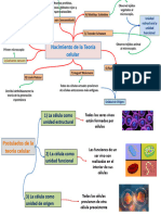 Teoria Celular