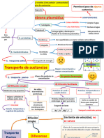 Membrana Plasmatica (Final)