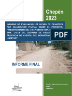 Informe de EVAR