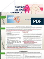 Tema 9. CANCER DE MAMA Y PROSTATA