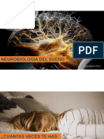 Presentacion de La Neurobiologia Del Sueño PDF