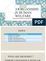 Bio Microbes in Human Welfare