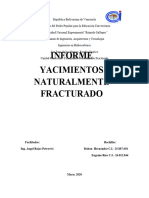 Yacimientos Naturalmente Fracturados