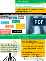 Gas Exchange CANVAS