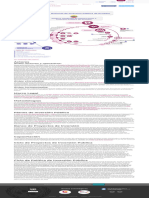 Sistema Nacional de Inversión Pública de Ecuador - Observatorio Regional de Planificación para El de